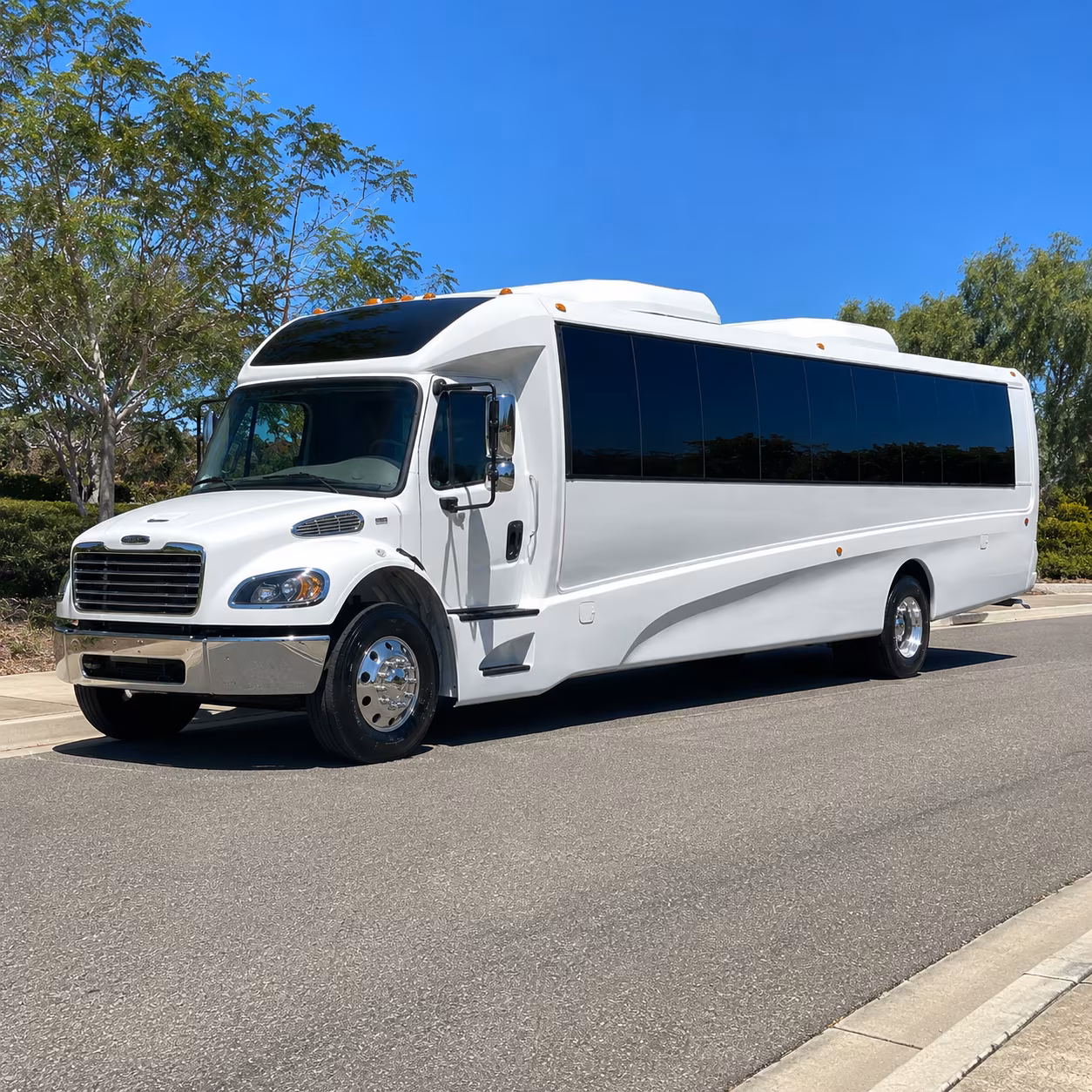 charleston 15 passenger minibus