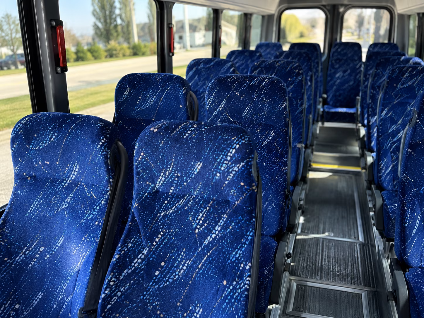 charter buses and party buses to charleston riverdogs games at riley park