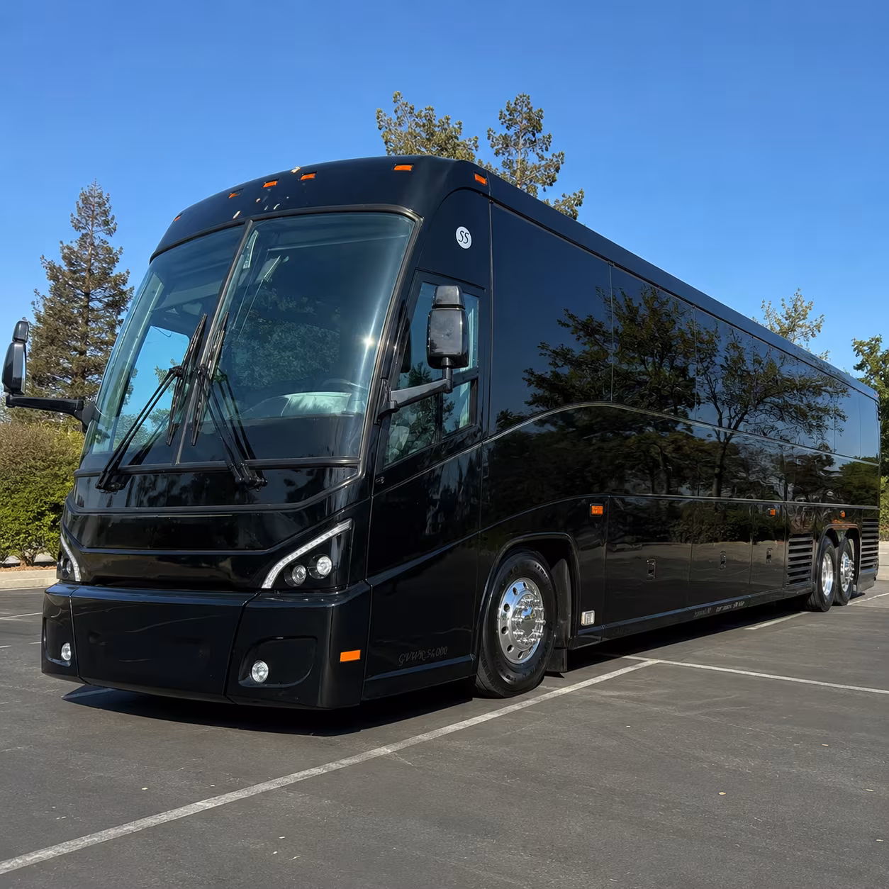 charter buses for charleston s biggest festivals and events